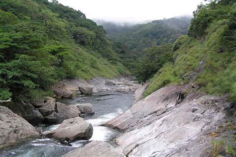 Aralam Wildlife Sanctuary - Just Kerala