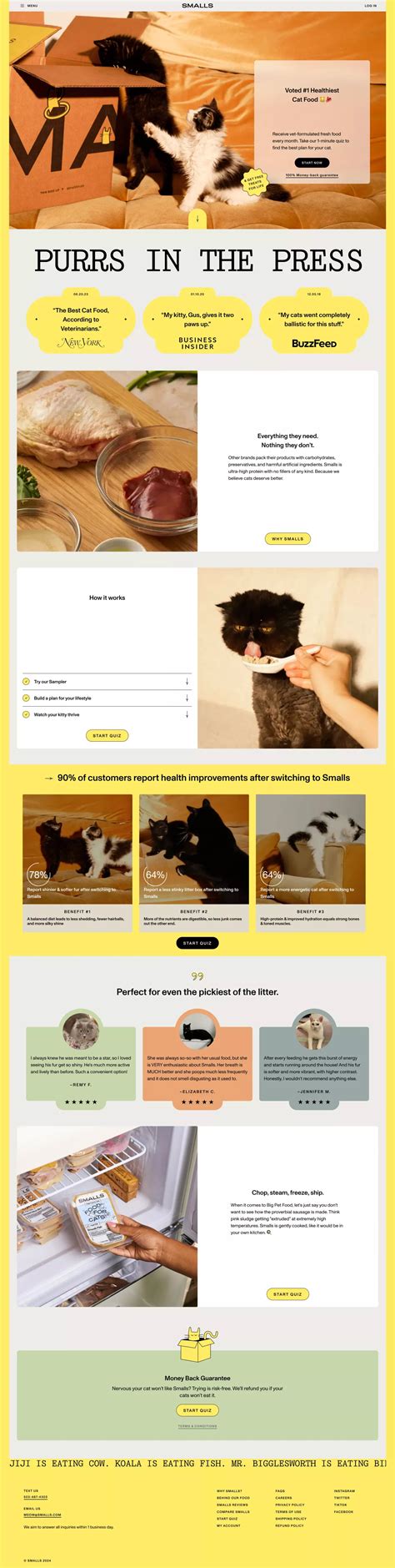 Fresh Human-Grade Cat Food Delivery | Smalls on Landbook - get inspired ...
