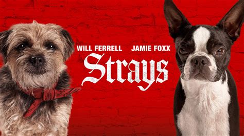 دانلود فیلم Strays 2023 - پرفیلم
