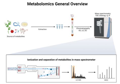 Image result for Metabolomics Tutorial