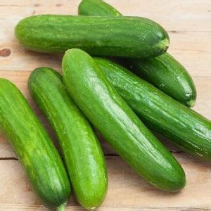 MOTREX Cucumber Seeds - Non-GMO - Produces Large Numbers of flavorful ...