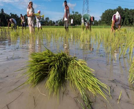 CSR @OIL | Oil India Limited