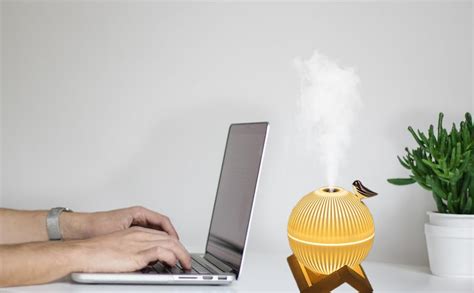Image result for Quiet Mini Humidifier