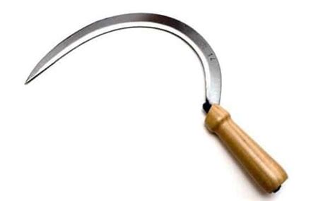 A cook and her cleaver do never part | The Cybernag