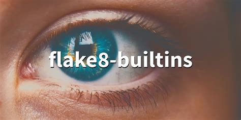 Image result for Flake8 Python