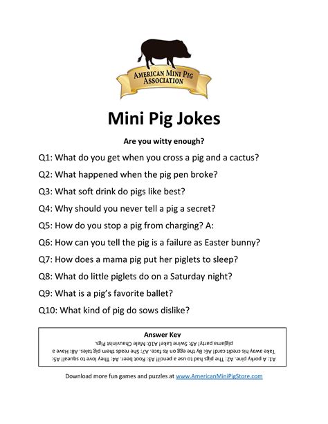 Mini Pig Jokes - American Mini Pig Online Store