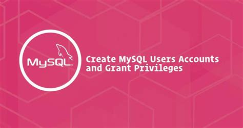 MySQL Account 的图像结果
