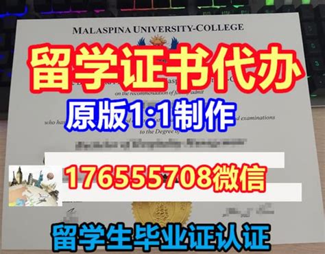 就业《学历认证报告及在线学籍验证报告》，有啥区别，如何获取？