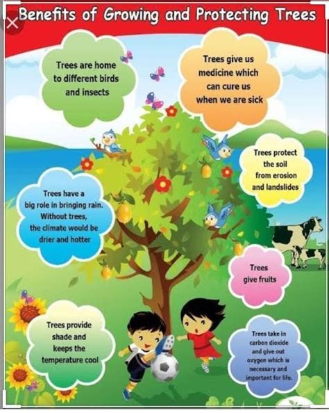 Design a poster creating awareness on the need for growing more trees ...