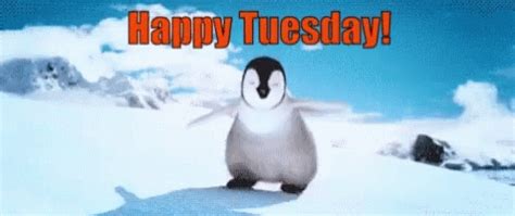 Funny Tuesday GIFs | GIFDB.com