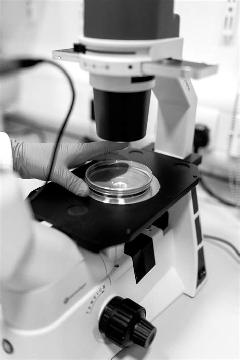 Image result for TMF Reference Model Latest Version