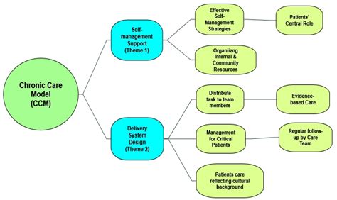 Applications of a Chronic Care Model for Self-Management of Type 2 ...