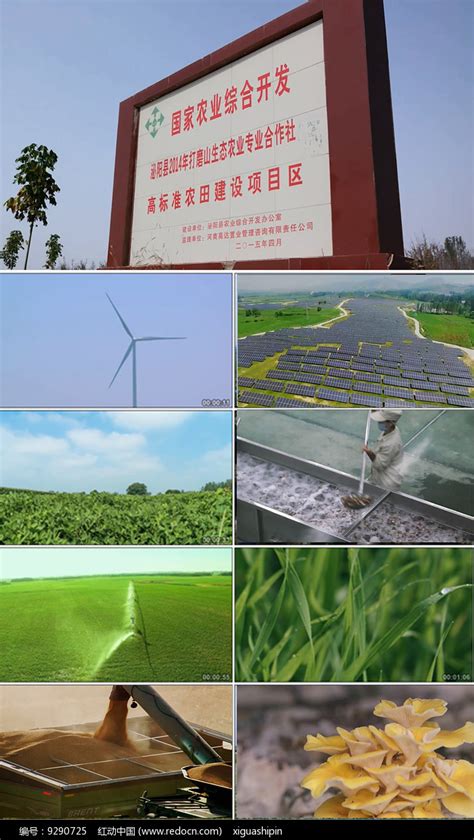 生态农业未来六大发展模式分析_现代农业产业规划 - 前瞻产业研究院