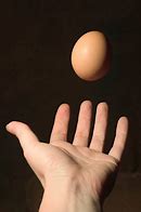 Image result for throw egg