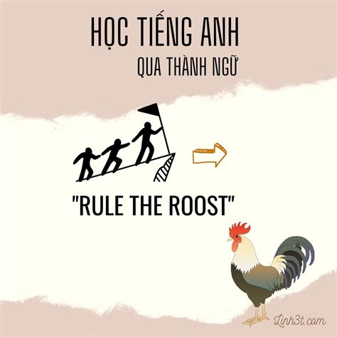Rule the roost nghĩa là gì - Học Tiếng Anh - Linh3t