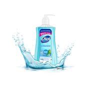 Buy Dial Complete Antibacterial Liquid Hand Soap, Spring Water, 11 fl ...