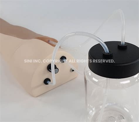 Injection Training Arm Model 的图像结果