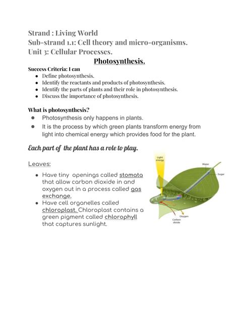 Biology Plants 的图像结果