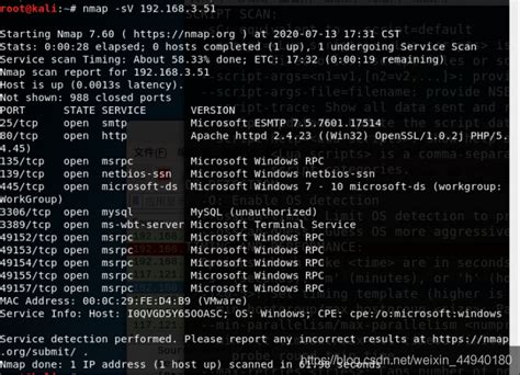 Nmap Windows CMD 的图像结果