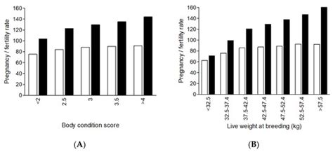 Breeding Ewe Lambs: An Australasian Perspective