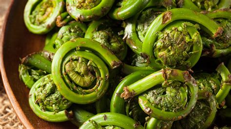 Image result for fiddlehead