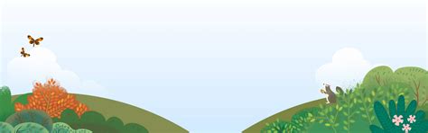 Salesforce Success Plans : niveaux d’assistance et options | Salesforce FR
