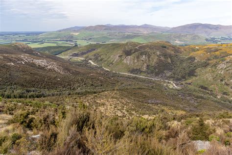 Why Are There No Snakes In New Zealand