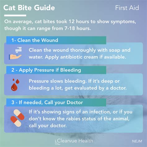 3 Charts | Cat Bite Guide: Symptoms and First Aid