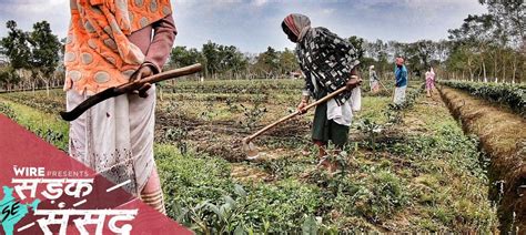 Watch | Sadak se Sansad: Dibrugarh, the Tea Capital of Assam - The Wire