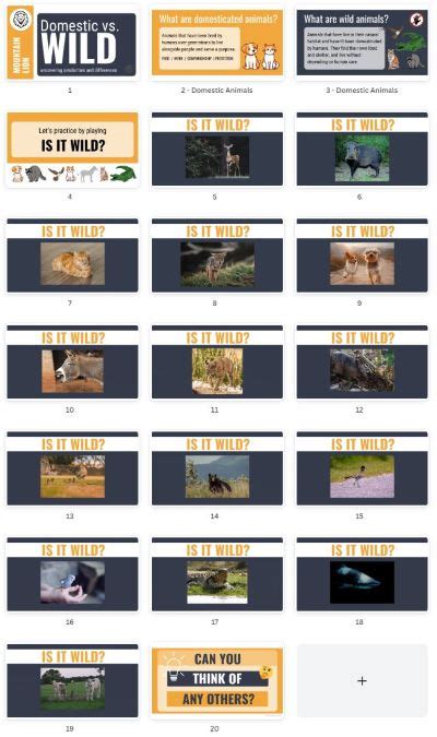 Lion Guide 的图像结果