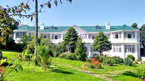 Pet-friendly hotels, resorts and homestays make it easy for paw-rents ...