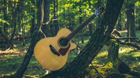 Image result for Program Gitara