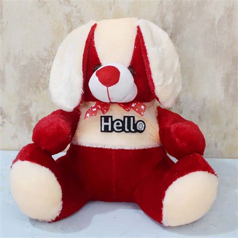 Send Hello Teddy Online | Rakhibazaar.com