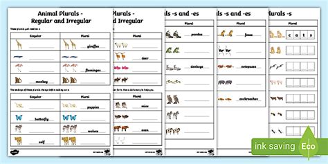Animal Plurals Differentiated Worksheets