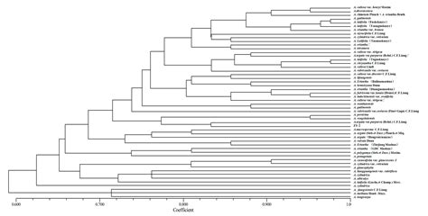 Genetic Diversity of 52 Species of Kiwifruit (Actinidia chinensis Planch.) - species of kiwi