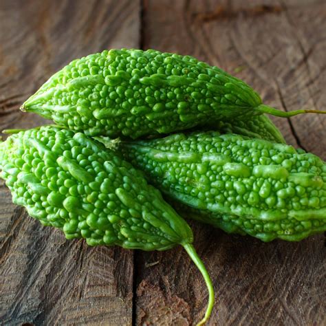 BITTER GOURD – AmpimEx