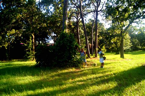 Hole 14 • Ed Austin Park (Jacksonville, FL) | Disc Golf Courses | Disc ...