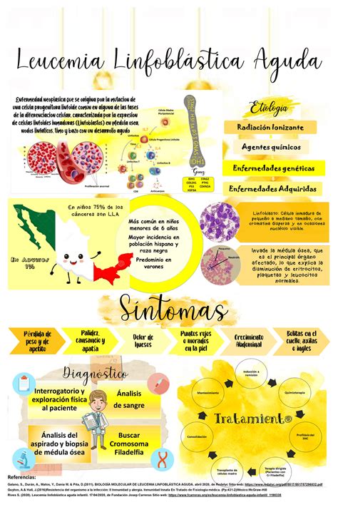 Infografía de Leucemia Linfoblástica Aguda - Docsity