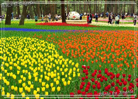 Image result for Def in Python Syntax Image Comcept