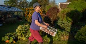 Hobby ideas for seniors