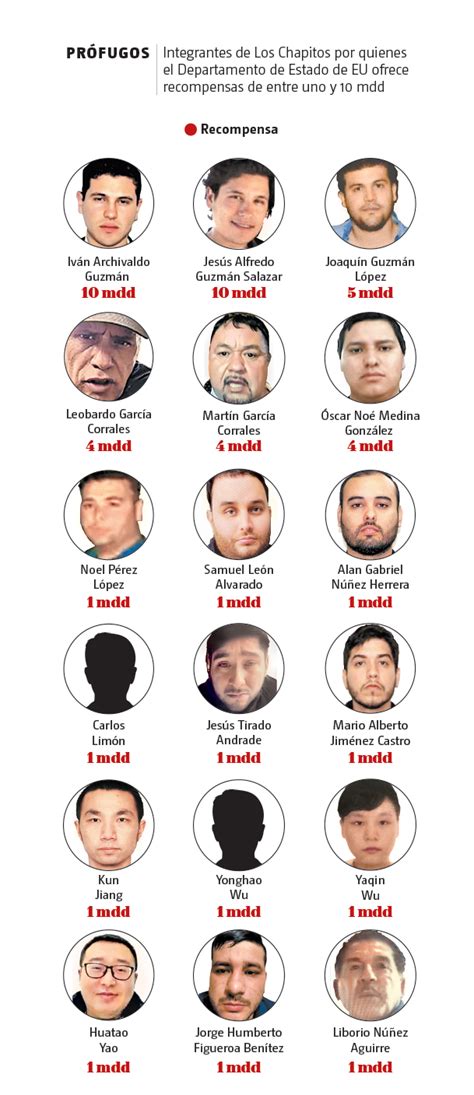 'Los-Chapitos'-han-sido-capturados por-Cacería-Internacional- Grupo Milenio