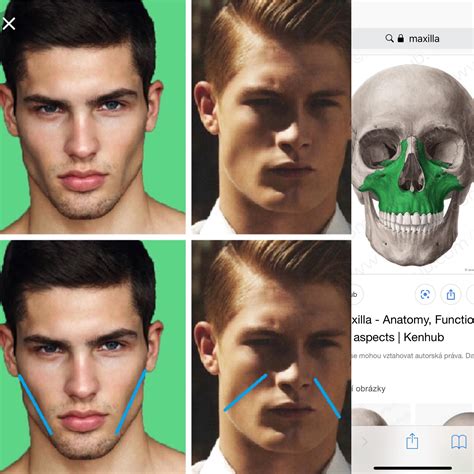 High Cheekbones Vs Low Cheekbones Men