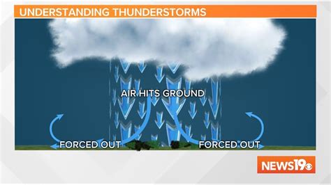 Straight Line Wind Damage 的图像结果
