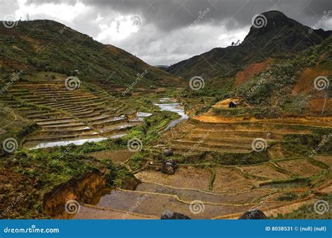Rice Terraces Panorama. High Mountain Rural Vietnam Nature Background ...