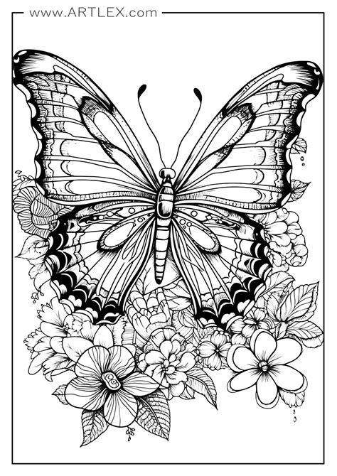 Coloring Page Butterfly
