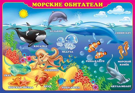 Морские картинки для детей
