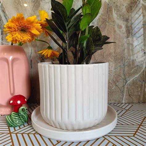 White Stripped pot 8 with Tray – Niyara