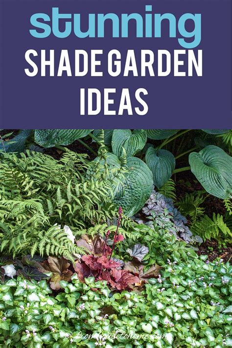 Shade Garden Design Ideas (How To Design A Stunning Shade Garden--With ...
