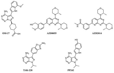 Dual Kinase Targeting in Leukemia