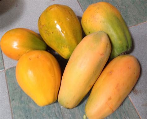 Suria Helang Lui: Papayas, our local delight with options